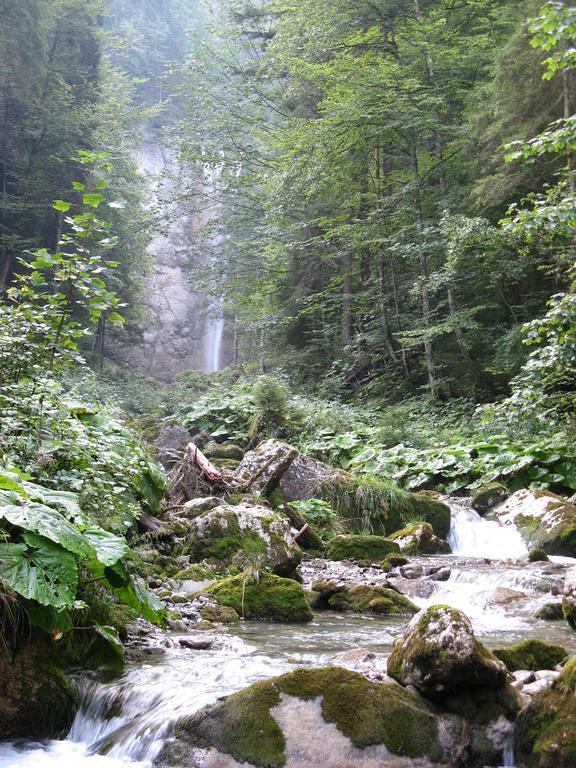 Waldgasthaus Lehmen Hotel Weissbad Екстериор снимка